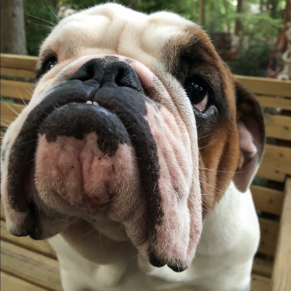 Meet your Posher, Emma